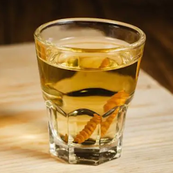 Mezcal