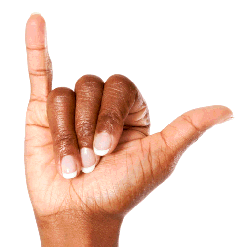 signLanguage